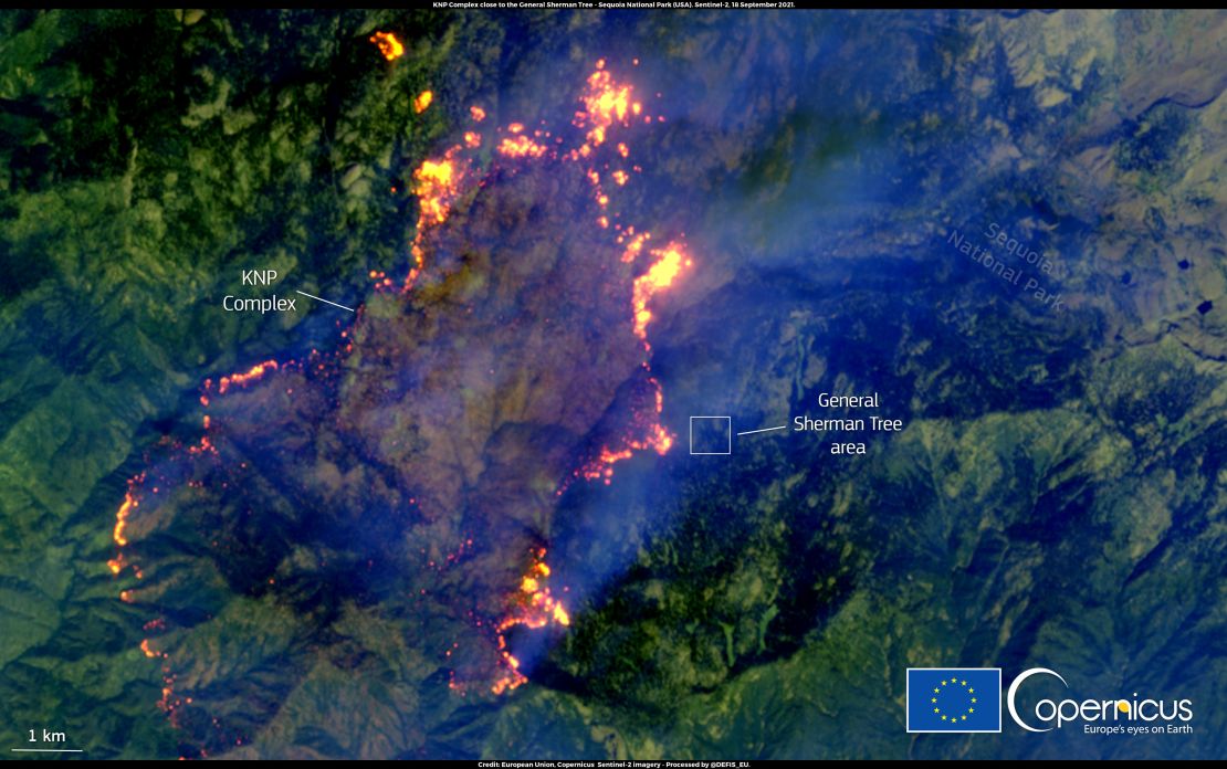 This satellite image by Copernicus shows the KNP Complex fire in California moving towards the site of General Sherman, the largest single stem tree in the world.