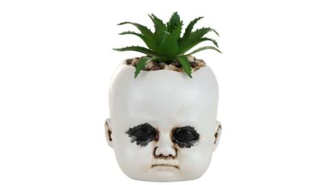 Distressed Doll Holds Succulent Plants