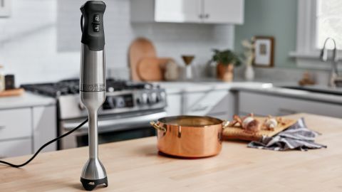 Immersion Blender