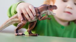 Some children become highly interested in dinosaurs during their early childhood.