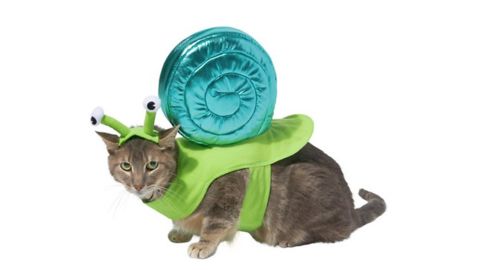 Frisco Snail Dog & Cat Costume