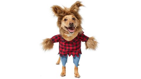 Frisco Front Walking Werewolf Dog & Cat Costume