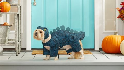 Frisco Stegosaurus dinosaur costume for dog and cat