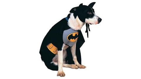 Classic Batman Pet Costume