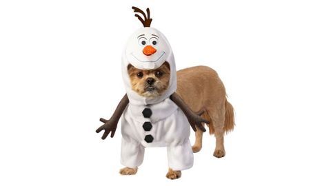 Olaf Frozen Pet Costume