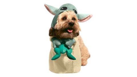 The Child with Frog Star Wars: The Mandalorian Pet Costume