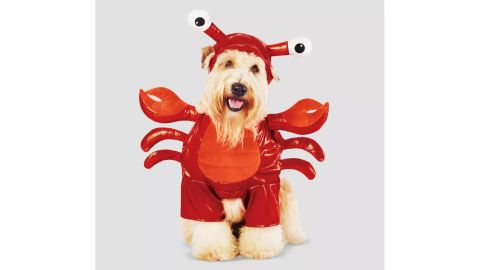 Lobster Frontal Dog and Cat Costume