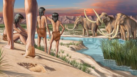An artist's impression of what the landscape would have looked like when the footprints were made.