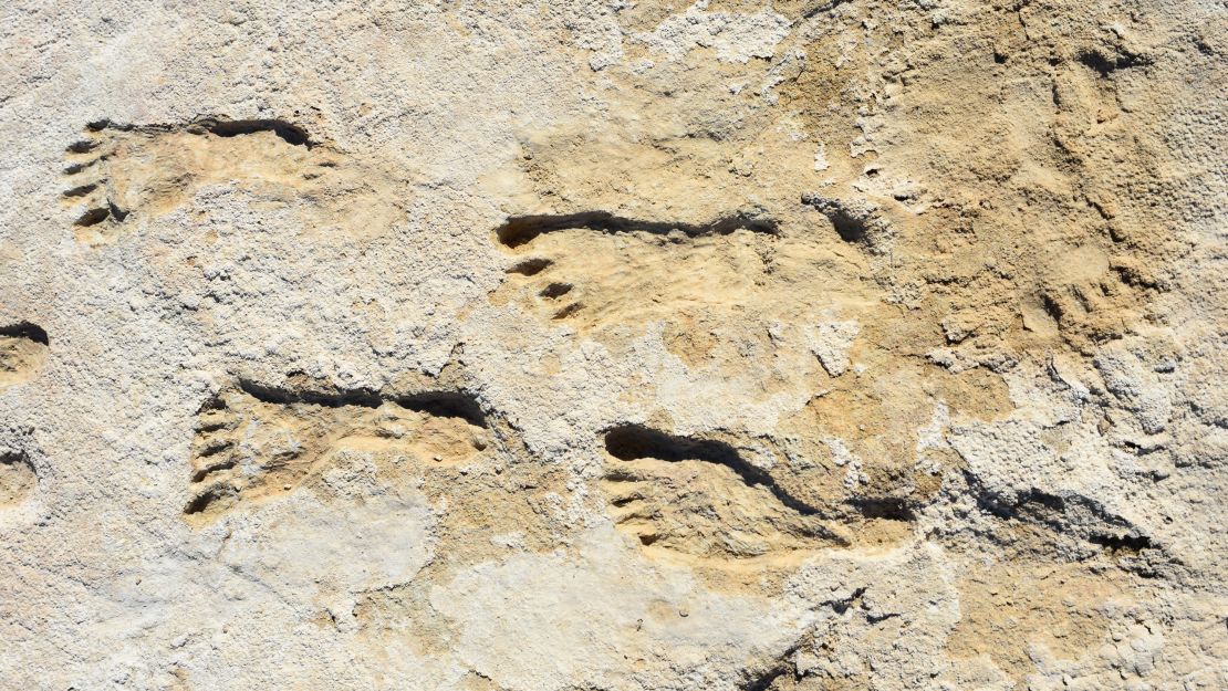 The footprints are thought to be made by children.