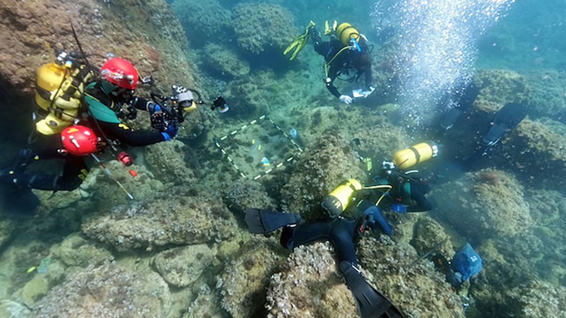 Archaeologists will carry out further excavations at the site in the next few weeks.