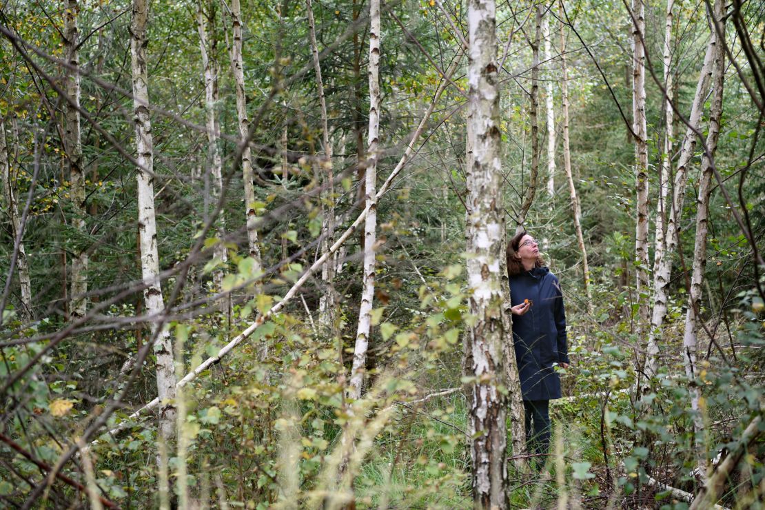 Kristina Kuethe, Peter Meyer's partner, stands in a rejuvenated forest.