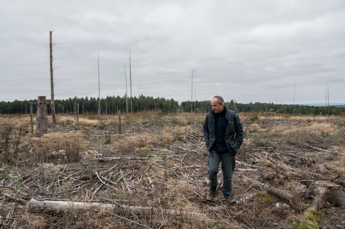 Peter Meyer shows an area where trees were completely destroyed by the bark beetle.