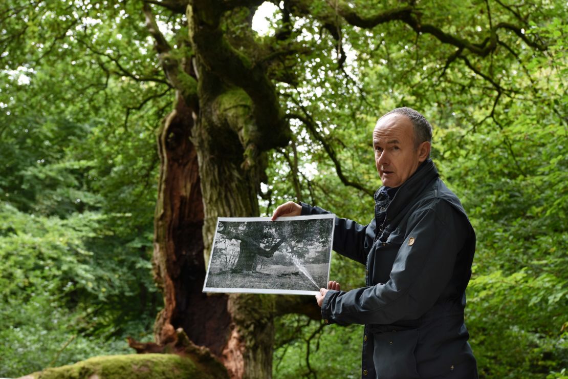 Meyer holds up a picture taken about 100 years ago of the oak tree behind him.