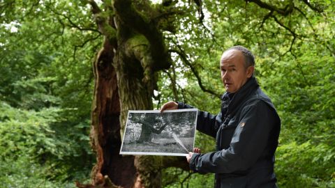 Meyer holds up a picture taken about 100 years ago of the oak tree behind him.