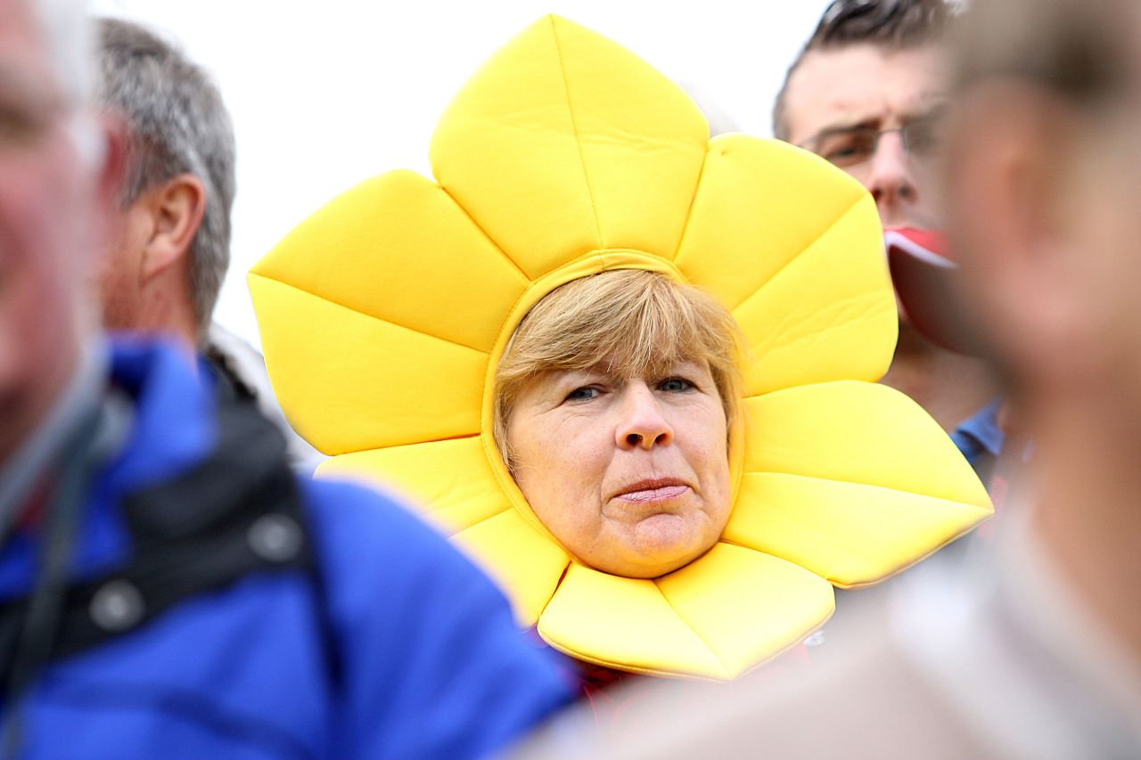 A golf fan dressed as a daffodil during the 38th Ryder Cup in Wales in 2010.