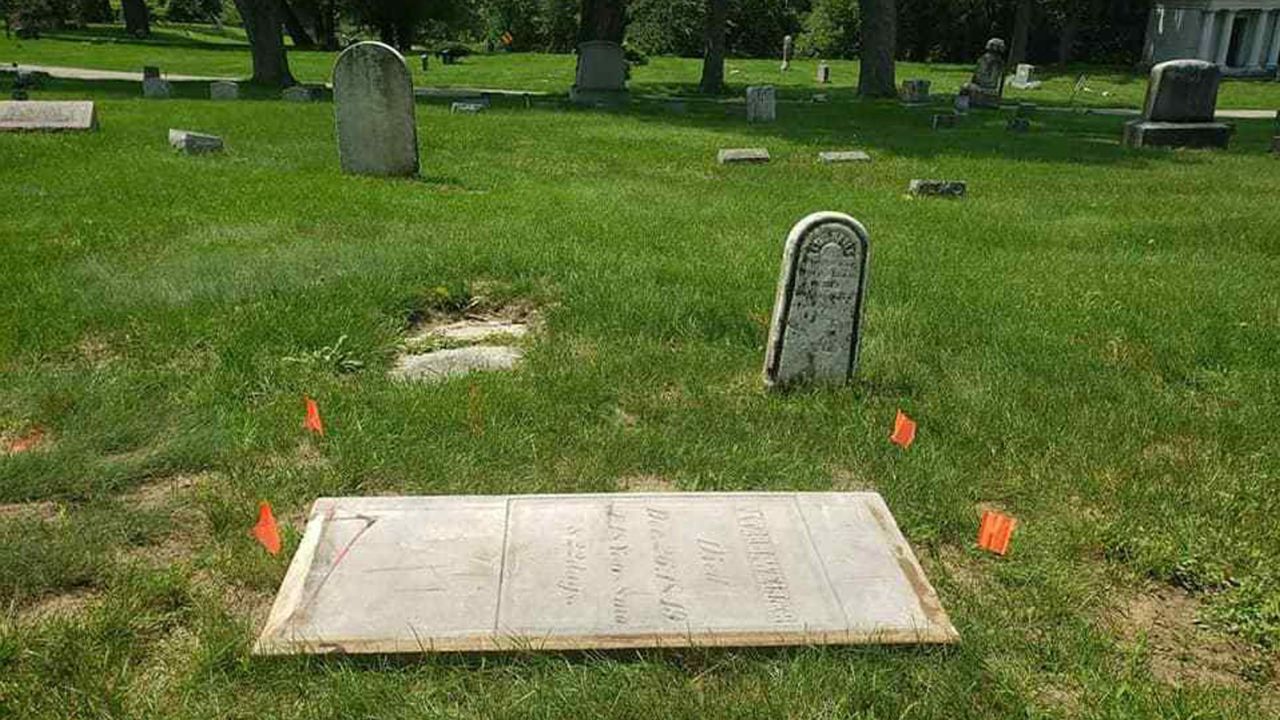This is what the plot looked like before the restoration.