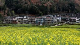 ПЕКИН, 28 февруари 2019 г. Снимка, направена на 19 февруари 2019 г., показва полетата с цветя на зеле в град Puwei в град Panzhihua, югозападна китайска провинция Съчуан.  Тъй като „чистите води и тучните планини са безценни активи“, Китай търси по-добра координация между икономическото и социално развитие и екологичната цивилизация и постигна видими резултати.  (Кредитно изображение: © Xinhua чрез ZUMA Wire)