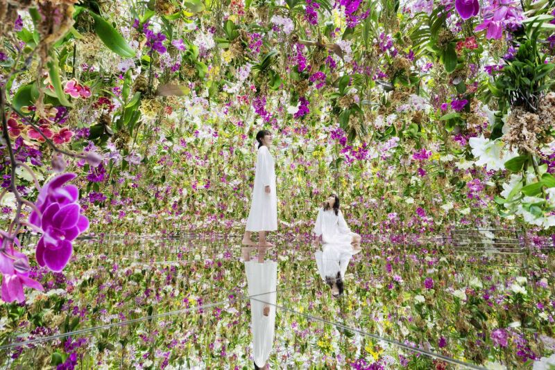 Step inside a 'floating' flower garden in Tokyo