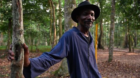 The event's artistic director, Ivorian sculptor Jems Koko Bi poses for a portarit in the Banco National Park on December 4, 2019 in Abidjan before the opening of the first Green Arts Biennale. - Ephemeral sculptures by international artists in the middle of the tropical forest is the challenge of the first Green Arts biennial that took place in the Banco National Park in Abidjan.
The Banco National Park extends over nearly 3,500 hectares in the heart of Abidjan, just a few kilometres from the Plateau business district between the two main working class districts of Abobo and Yopougon. (Photo by ISSOUF SANOGO / AFP) (Photo by ISSOUF SANOGO/AFP via Getty Images)