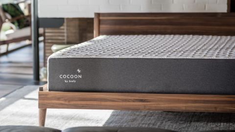 Cocoon by Sealy 