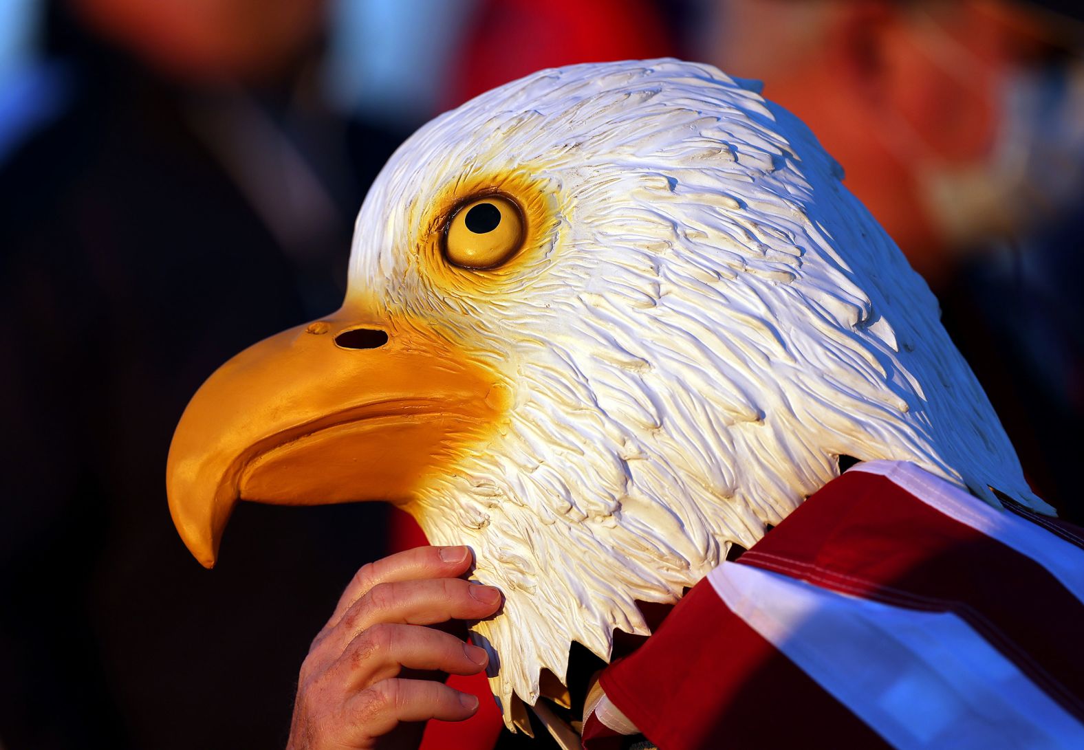 A fan of Team US wears a bald eagle mask during Friday morning Foursome matches.