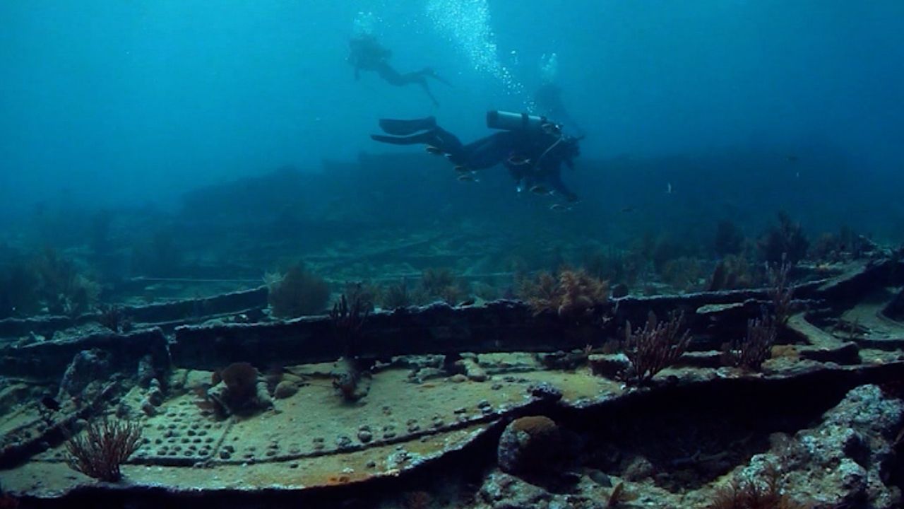 cfc fredricka whitfield story diver vpx screengrab