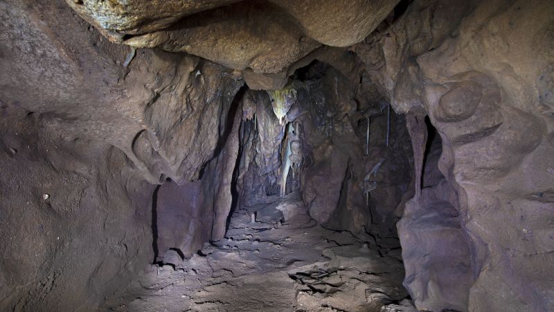 Cave chamber closed for 40 000 years could hold the key to the