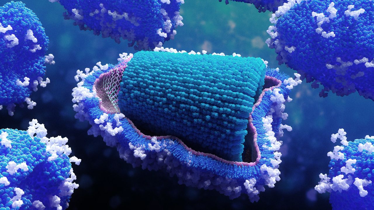 An illustration of the rabies virus.
