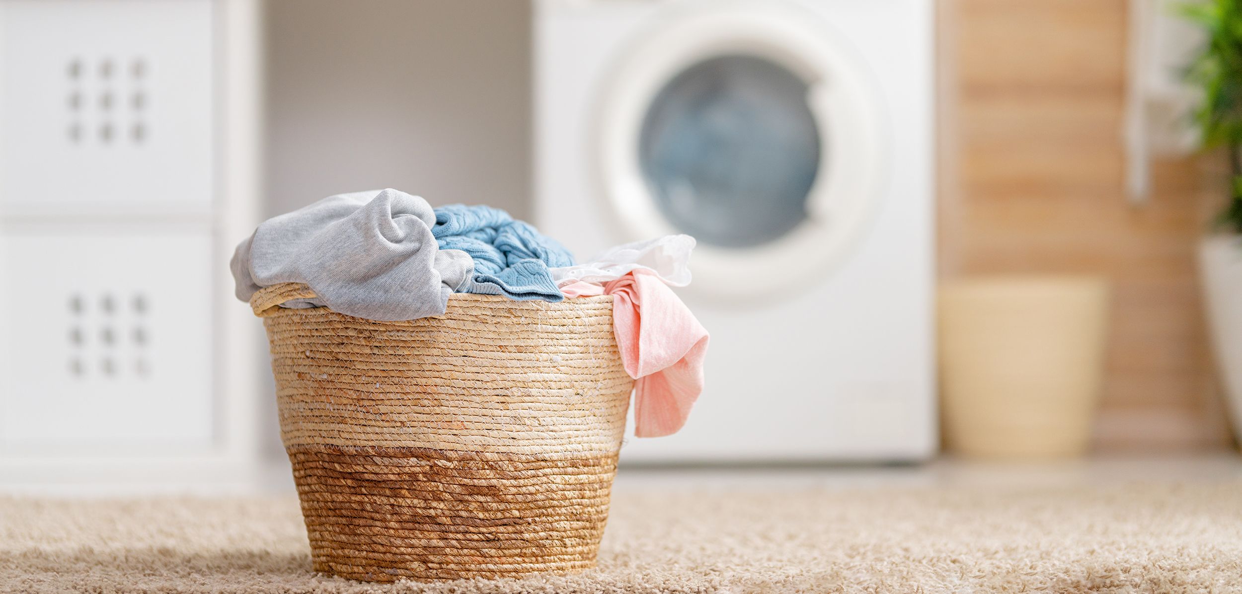 Can Bacteria Survive In The Washing Machine