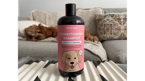 Wild One Conditioning Shampoo