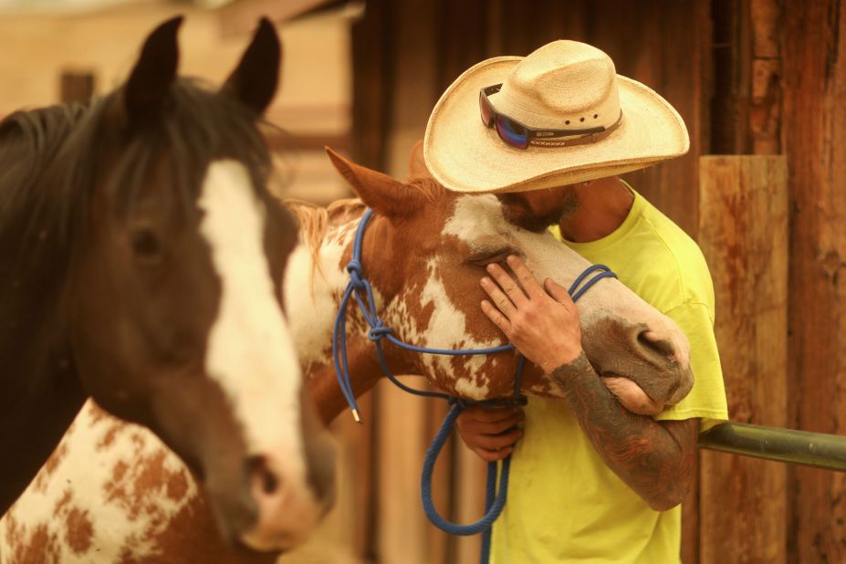 A volunteer attempts to evacuate horses to safety as the Windy Fire expands in California's Sequoia National Forest on September 25.