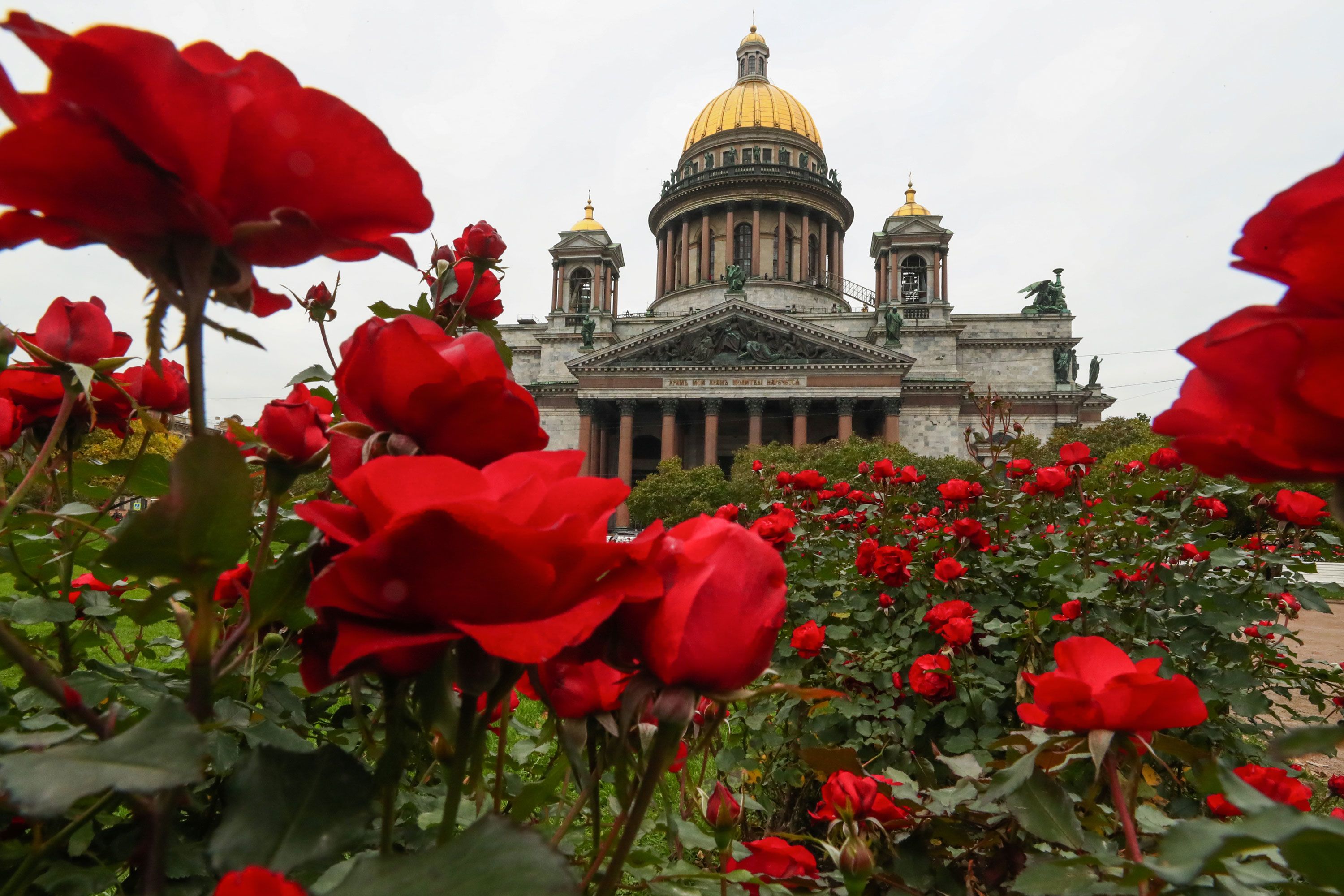 Russia hosts its first royal wedding in more than 100 years