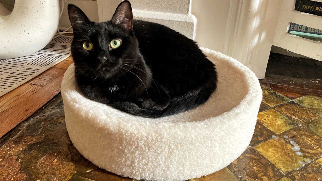 Tuft + Paw Kip Cat Cushion