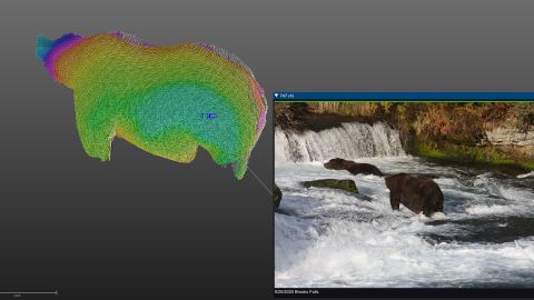 A 3-D model of 747 is shown next to a picture of the bear; 747 was the 2020 winner of Fat Bear Week at Katmai National Park and Preserve, and had the highest estimated weight.