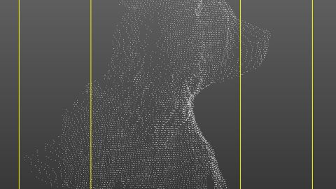 A point cloud of a bear that can be used to make a 3-D model.