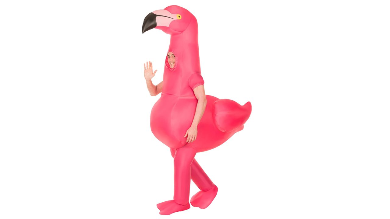 Flamingo Inflatable Costume