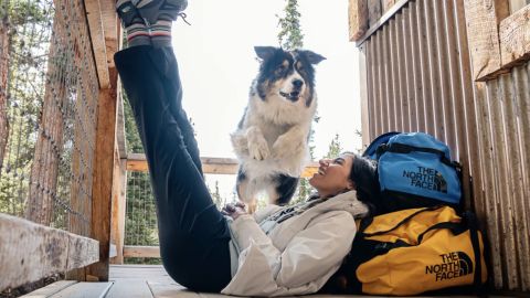 The North Face