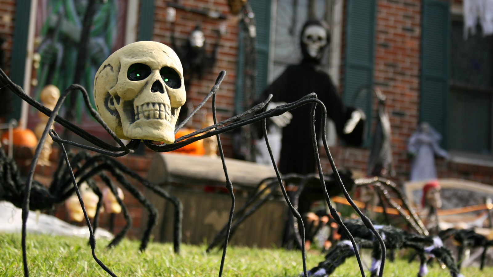 Adult Skeleton Romance Catsuit - Black & Bone
