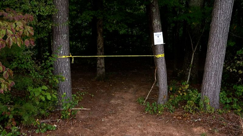 are dogs allowed on blue ridge parkway trails