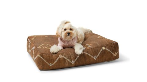 Sebastian Says Cactus Silk Dog Bed