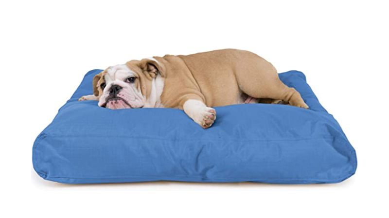 Overstock dog clearance beds