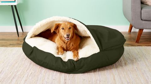 bed for dog cat pet lead