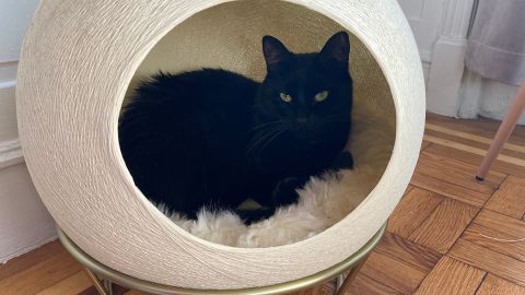 Tuft + Paw Stellar Cat Bed