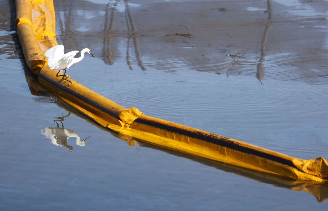 A bird balances on a boom, a temporary floating barrier to contain oil which seeped into Talbert Marsh, home to around 90 bird species, after the offshore oil spill.