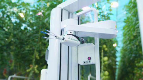 AI analyzes data from over 700,000 plants, and data is also collected by cameras attached to Virgo, AppHarvest's AI-powered robot. 