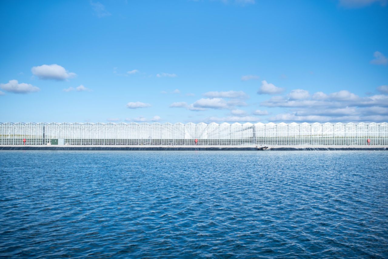 AppHarvest's facility uses 100% recycled rainwater to grow its crops. Its 10-acre retention pond holds the equivalent of nearly 70 Olympic-sized swimming pools. 