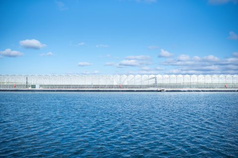 AppHarvest's facility uses 100% recycled rainwater to grow its crops. Its 10-acre retention pond holds the equivalent of nearly 70 Olympic-sized swimming pools. 