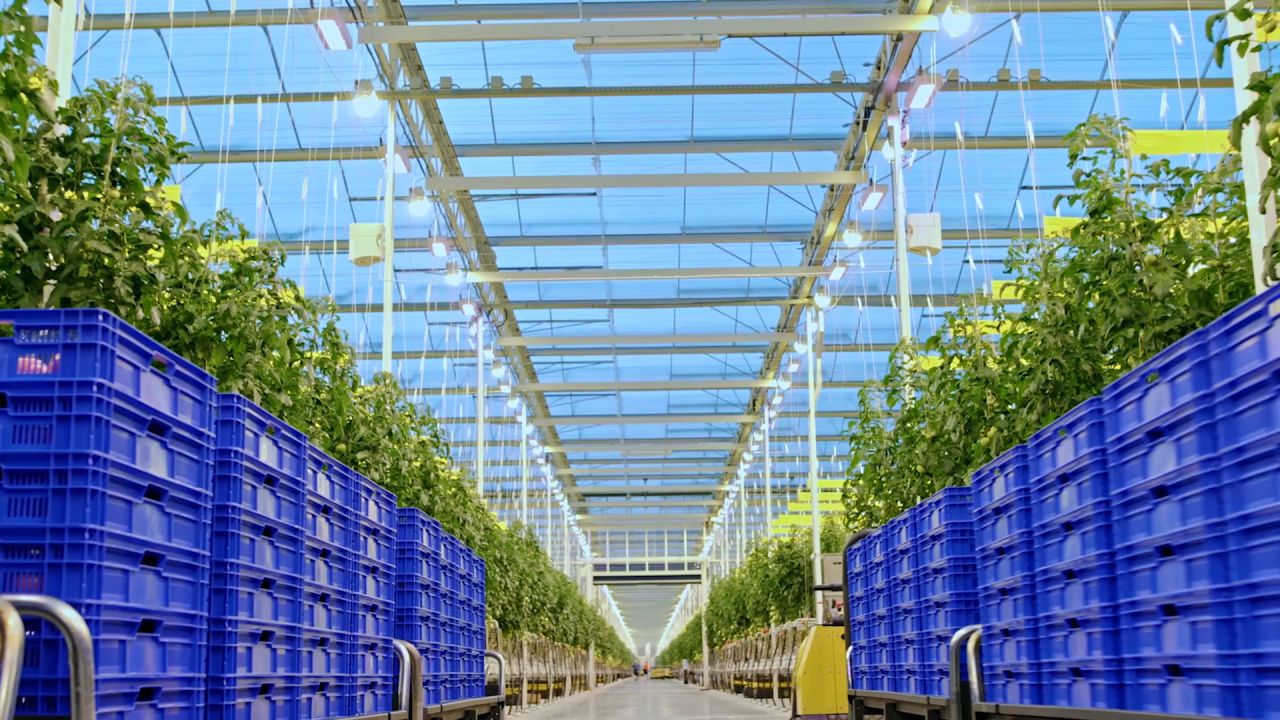 AppHarvest says AI-powered greenhouses could be a solution to the growing demand for food as the global population heads closer towards 10 billion people by 2050.