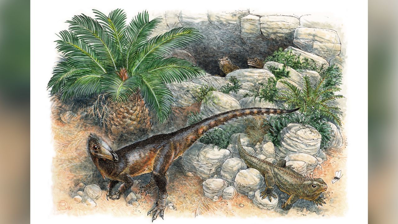 An artist's reconstruction of the new dinosaur species. Illustration by James Robbins