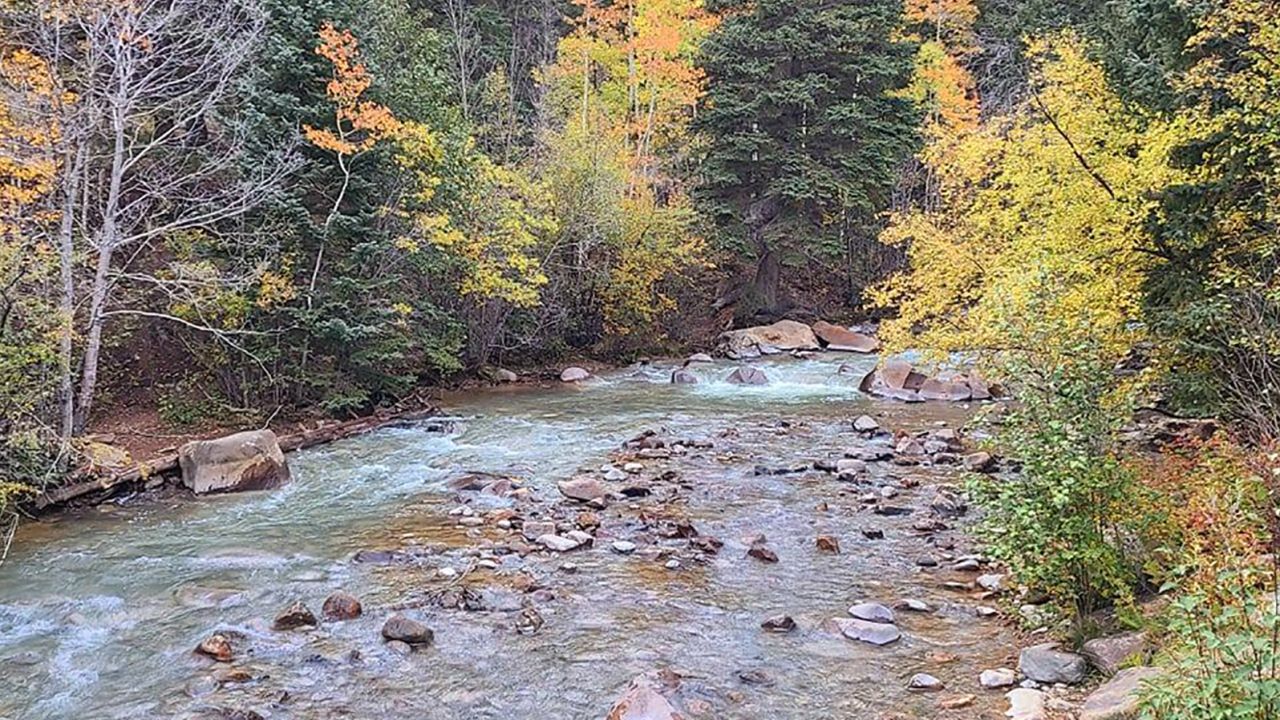 A view of the terrain in the area.
